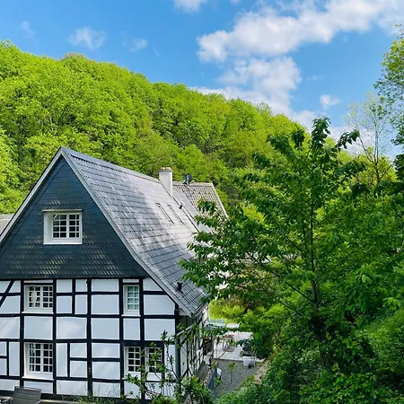 Im Grünen Für Geschäftsreisen Oder Urlaub