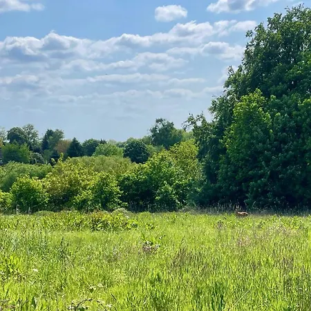 Im Grünen Für Geschäftsreisen Oder Urlaub Apartment Leichlingen