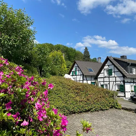 Apartment Im Gruenen Fuer Geschaeftsreisen Oder Urlaub *