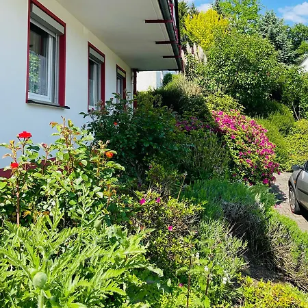 Im Gruenen Fuer Geschaeftsreisen Oder Urlaub Apartment